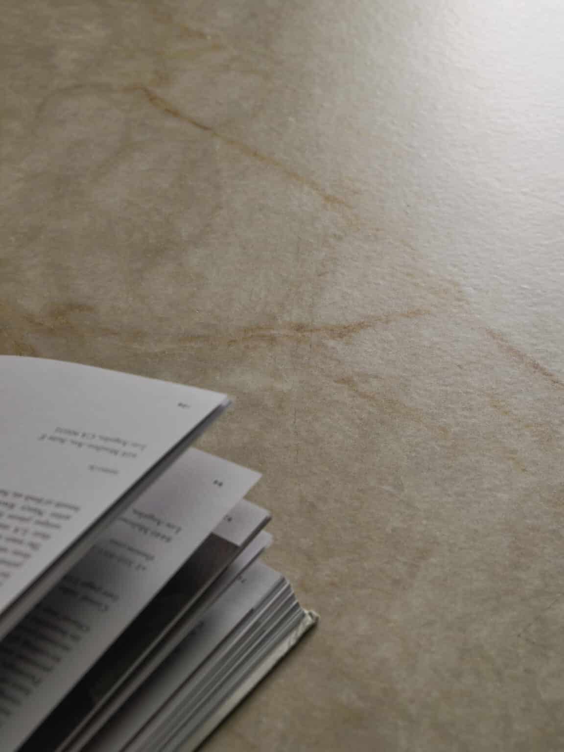 ss-ss02-taj_mahal_jatoba_brown-_-_-_-amb38_part8-kitchen